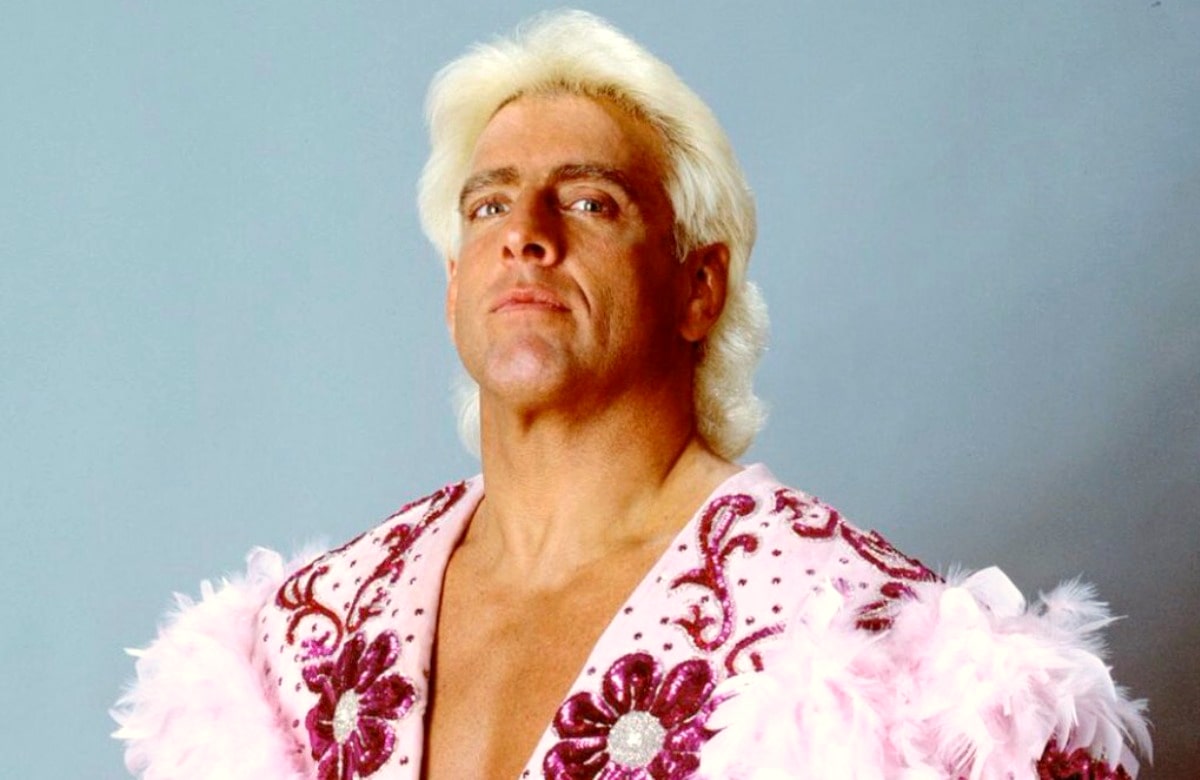 Ric Flair - wide 6