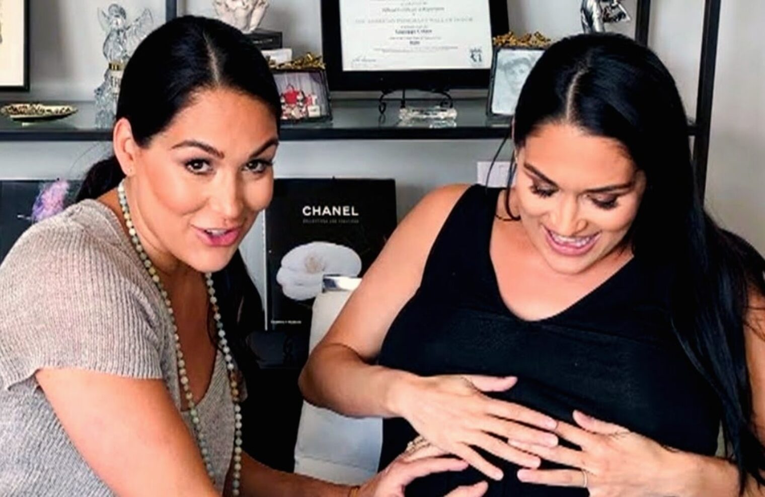 The Bella Twins Give Birth One Day Apart Wphotos Web Is Jericho 